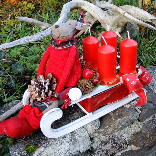 Advent - Sob na saních — foto 1