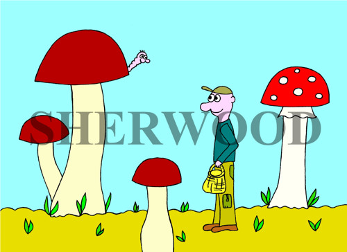 60.Hrrr na ně!!!