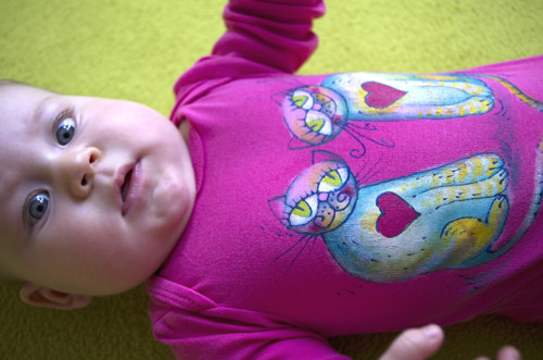 Láska kočičí ... dětské body — foto 1