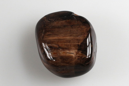 Zkamenělé dřevo 4 cm — foto 1