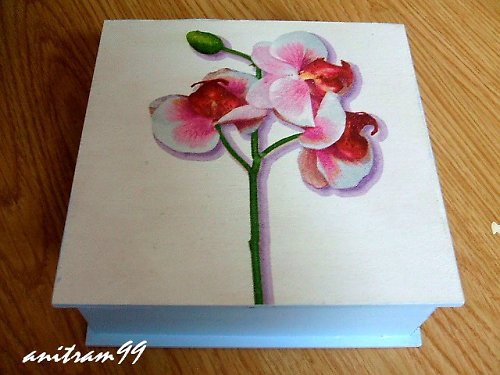 Orchidej - SLEVA — foto 1