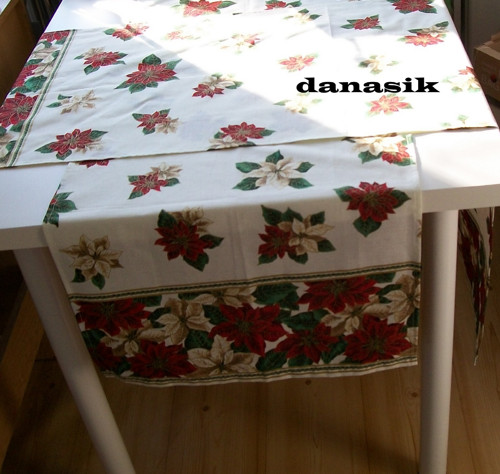 VÁNOČNÍ HVĚZDY - 2 BĚHOUNY — foto 1