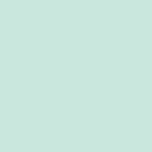 Látka Pure Elements Icy Mint 451