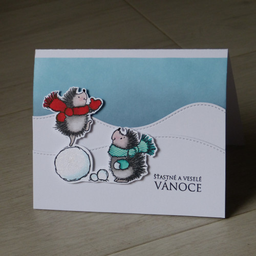 Vánoční přání - ježci — foto 1