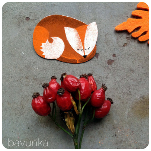 Liška zasněná — foto 1