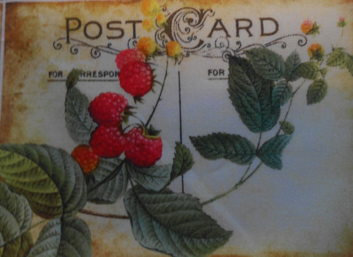 Post Card - ovoce — foto 1