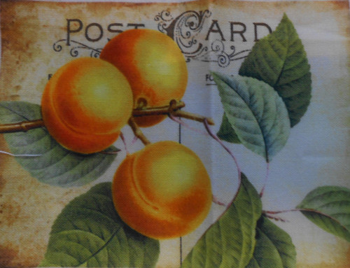 Post Card- ovoce — foto 1