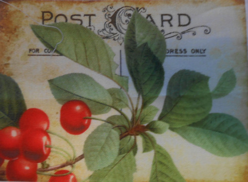 Post Card- ovoce — foto 1