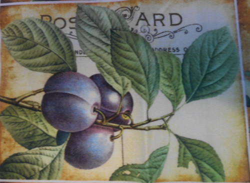Post Card- ovoce — foto 1