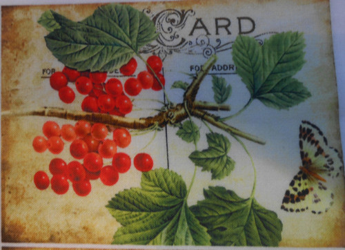 Post Card- ovoce — foto 1