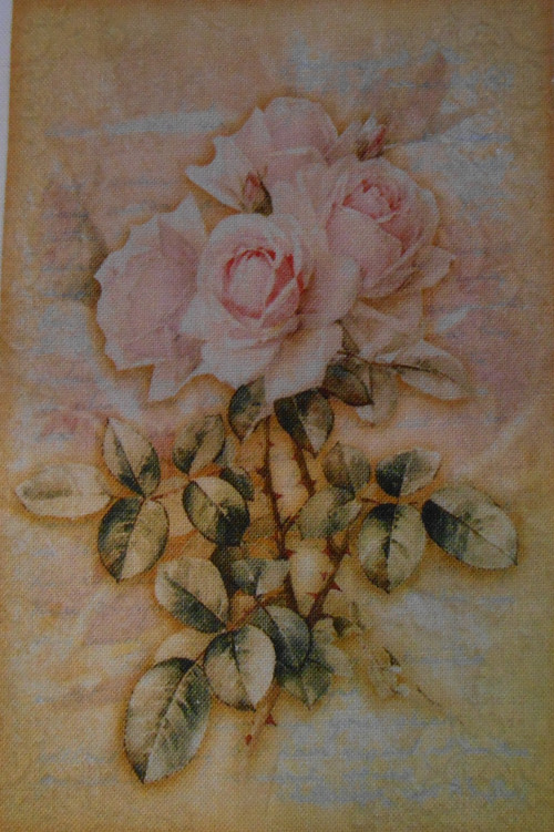 Růže — foto 1