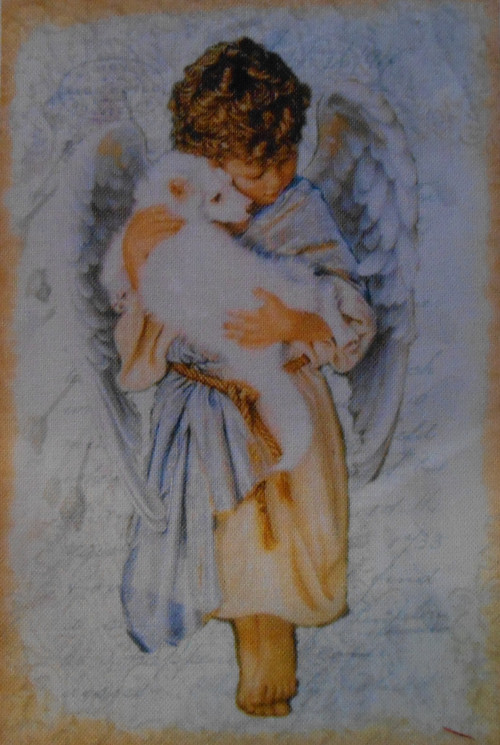 Andělé — foto 1