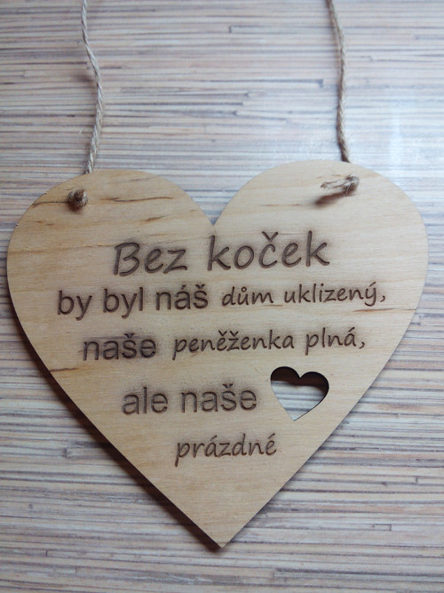 Kočka