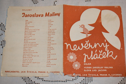 Nevěrný ptáček — foto 1