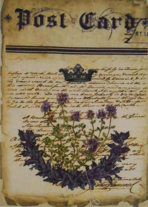 Post Card Lavender — foto 1