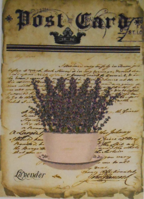 Post Card Lavender — foto 1