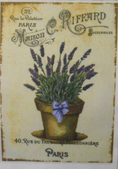 LAVENDER - tenká linka — foto 1