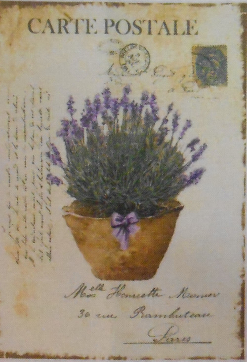 LAVENDER - tenká linka — foto 1