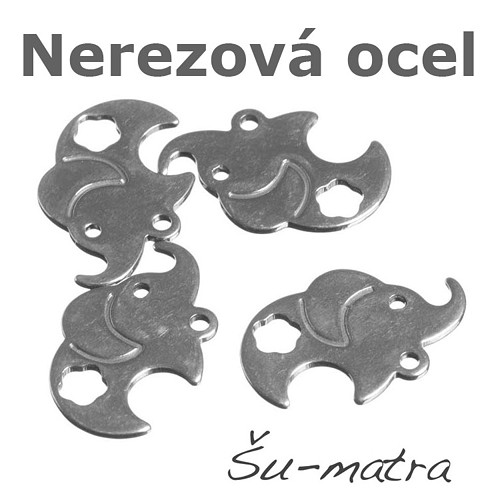Přívěsek z nerezové oceli, 19x13x1mm