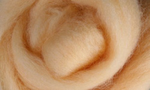 Česanec Corriedale Honey 20 g — foto 1