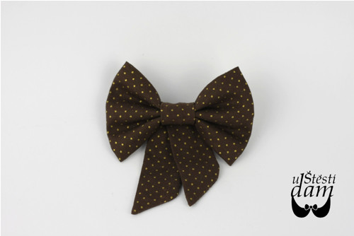 Brožka "Brown and Golden Dots"