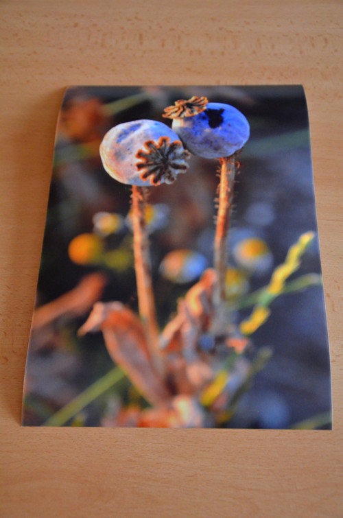 Opora - autorská fotografie