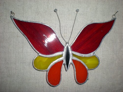 Motýl — foto 1