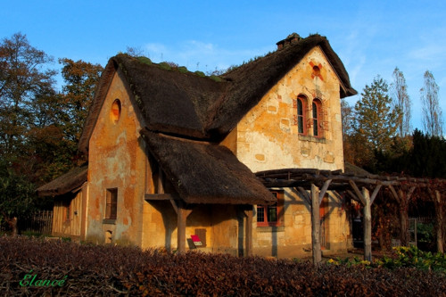 Vesnička VII
