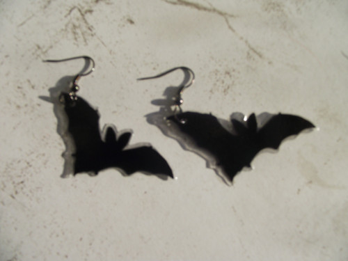 Netopýři — foto 1