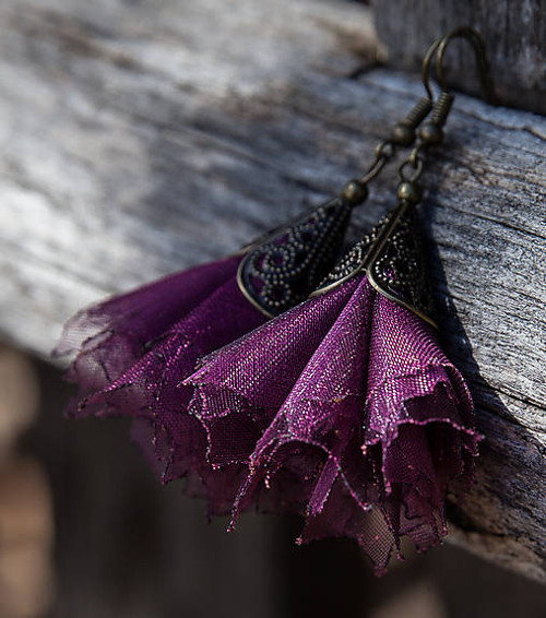 Tanečnice purpurové — foto 1