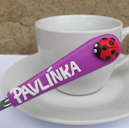 Lžička se jménem a beruškou
