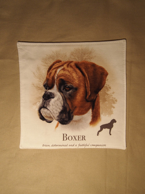 Boxer — foto 1