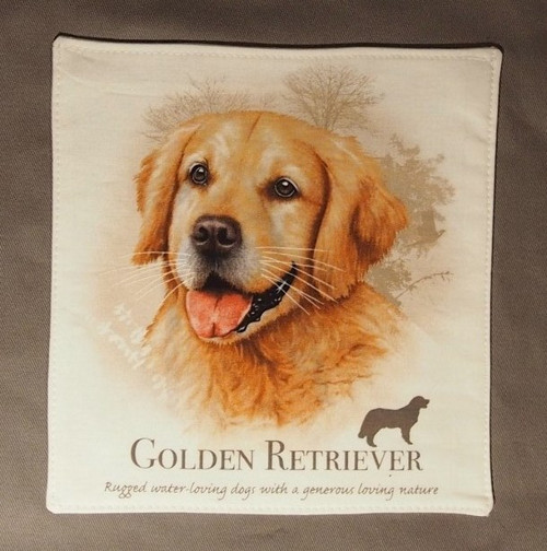 Golden Retriever — foto 1