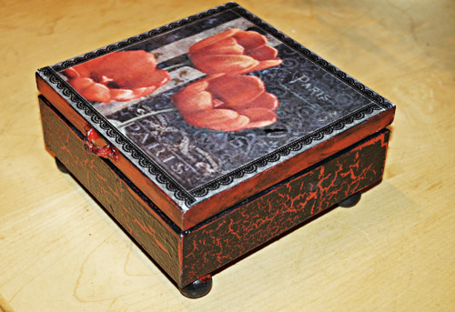 Rudý tulipán — foto 1
