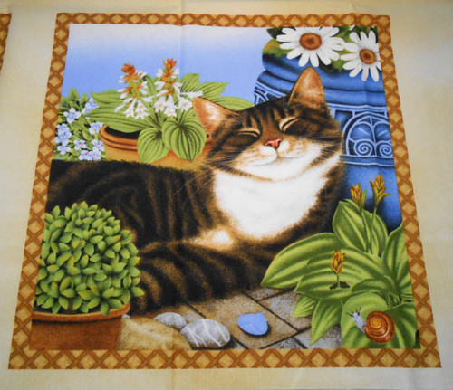 Kočky na terase - velký panel — foto 1