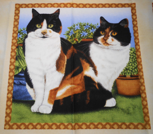 Kočky na terase - velký panel — foto 1
