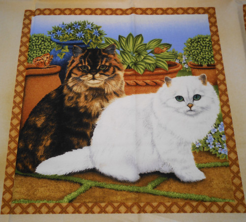 Kočky na terase - velký panel — foto 1