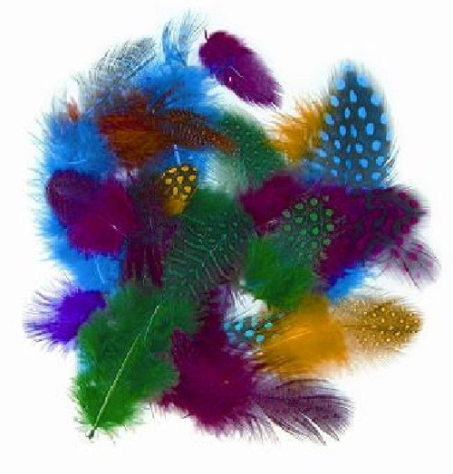 Peří z perličky 1 g, 4-6 cm, barevný mix