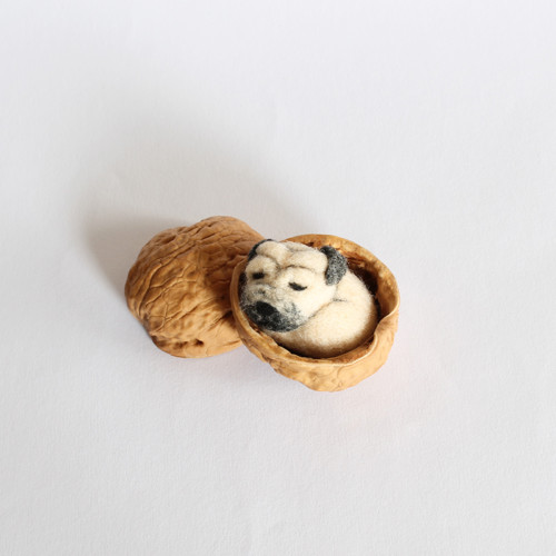 Mini mopsík — foto 1