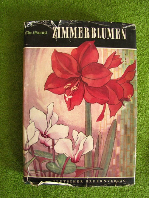 Zimmerblumen.Květiny.