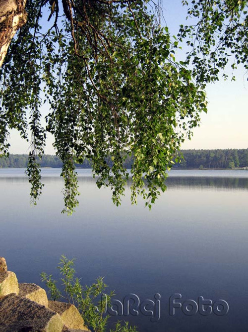 Bříza nad vodou