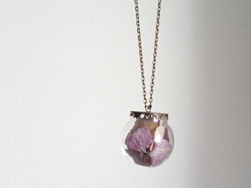 Hortensia — foto 1