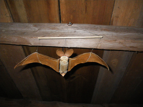 Letící netopýr — foto 1