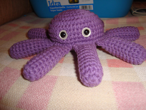 Chobotnička Violet — foto 1