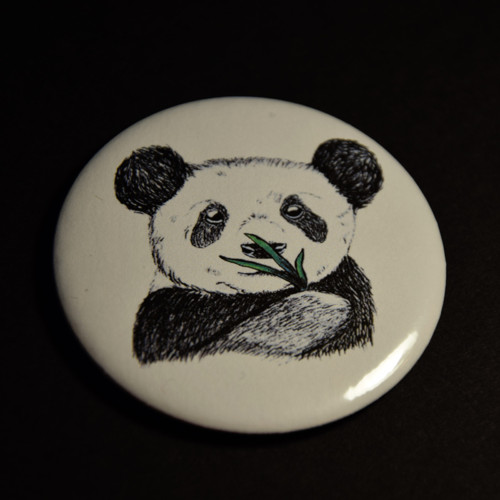 Panda zrcátko — foto 1