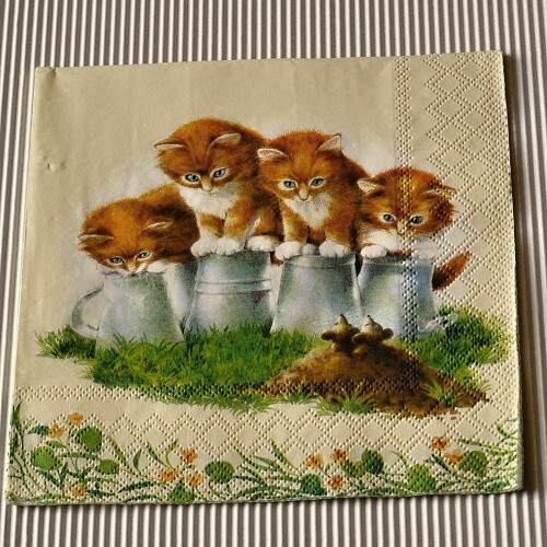 Ubrousek - Koťata — foto 1