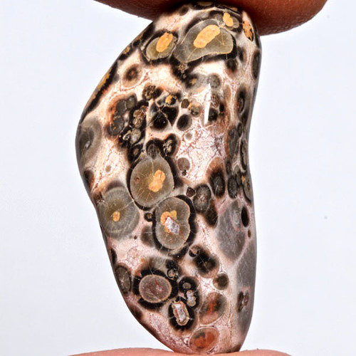 Jaspis leopardí — foto 1