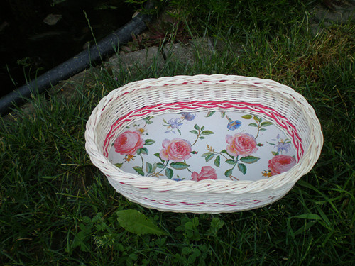 Bělená ošatka — foto 1