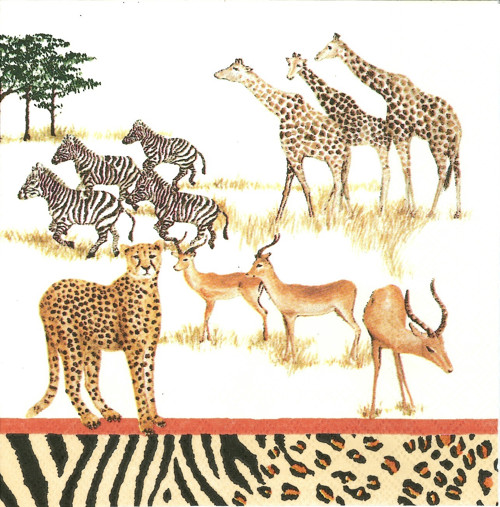Ubrousek - safari (2 ks - AKCE)