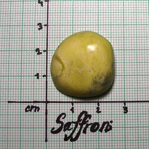 Serpentin kabošon 1 — foto 1